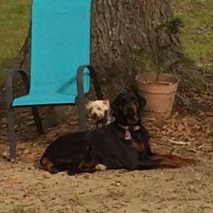 Meet your Posher, Gwen